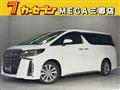 2020 Toyota Alphard G