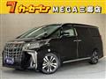 2019 Toyota Alphard G