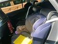2011 Toyota Corolla Fielder