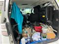 2009 Toyota Vellfire