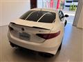 2019 Alfa Romeo Alfa Romeo Others