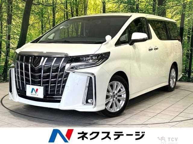 2019 Toyota Alphard G