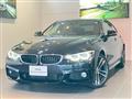 2017 BMW BMW Others