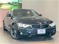 2017 BMW BMW Others