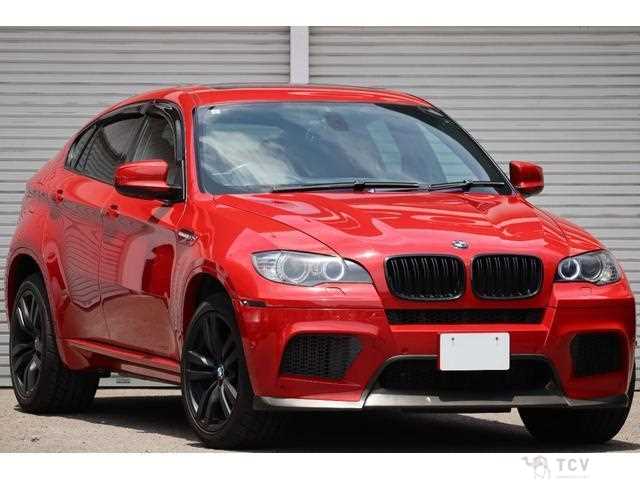 2011 BMW X6