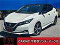 2018 Nissan Leaf