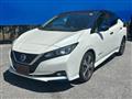 2018 Nissan Leaf