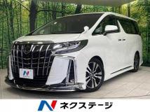 2019 Toyota Alphard G