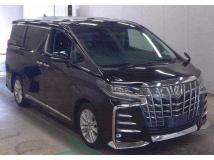 2020 Toyota Alphard G