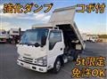 2017 Isuzu Elf Truck