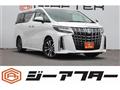 2020 Toyota Alphard G