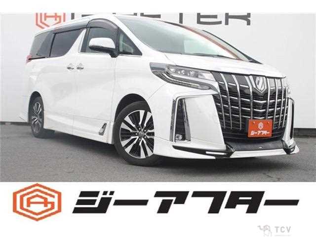 2019 Toyota Alphard G