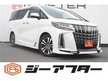 2019 Toyota Alphard G