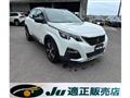 2019 Peugeot Peugoet Others