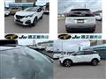 2019 Peugeot Peugoet Others