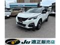 2019 Peugeot Peugoet Others
