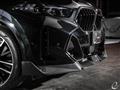 2024 BMW X6
