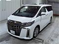 2023 Toyota Alphard G