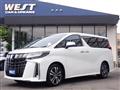 2023 Toyota Alphard G