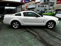 2008 Ford Mustang