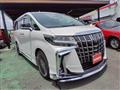 2020 Toyota Alphard G