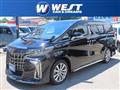 2022 Toyota Alphard G