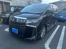 2022 Toyota Alphard G