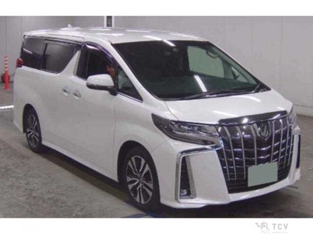 2019 Toyota Alphard G