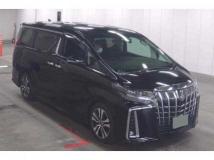 2020 Toyota Alphard G