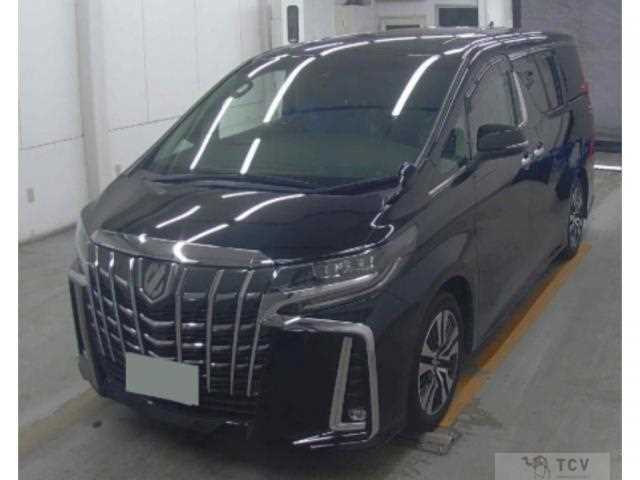 2019 Toyota Alphard G