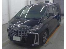 2019 Toyota Alphard G