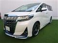 2019 Toyota Alphard G