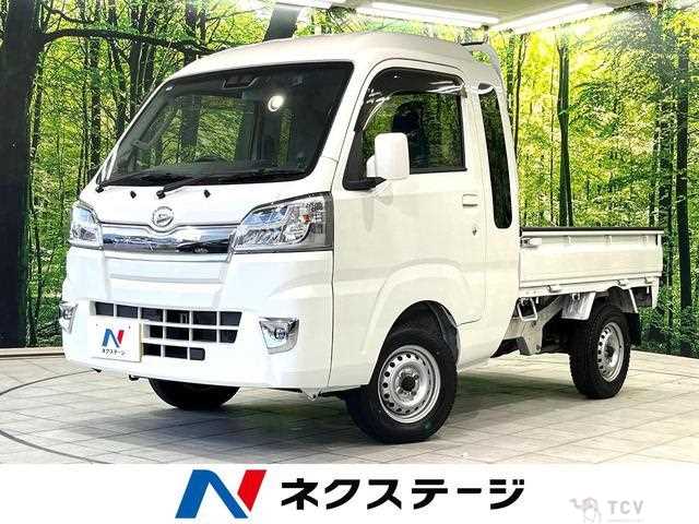 2019 Daihatsu Hijet Truck