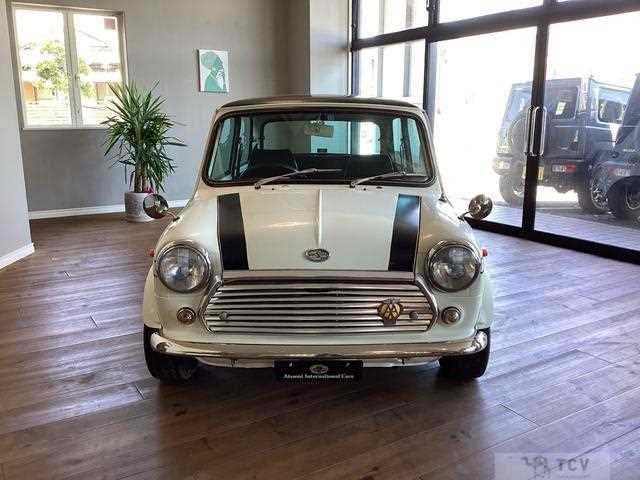1991 Rover Mini