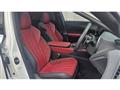 2025 Lexus RX
