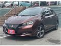 2022 Nissan Leaf