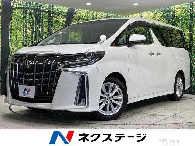 2019 Toyota Alphard G