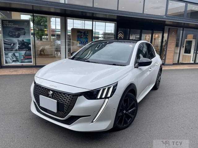 2021 Peugeot Peugoet Others