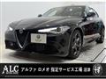 2021 Alfa Romeo Alfa Romeo Others
