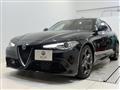 2021 Alfa Romeo Alfa Romeo Others