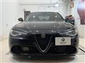 2021 Alfa Romeo Alfa Romeo Others