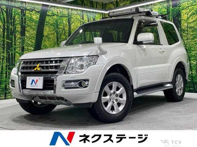 2017 Mitsubishi Pajero