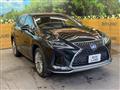 2021 Lexus RX