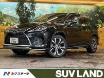 2020 Lexus RX