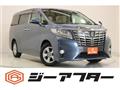 2016 Toyota Alphard G