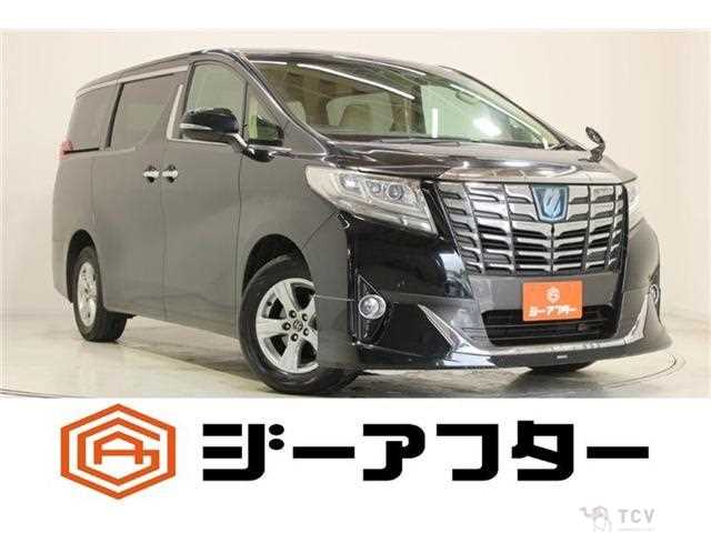 2017 Toyota Alphard G