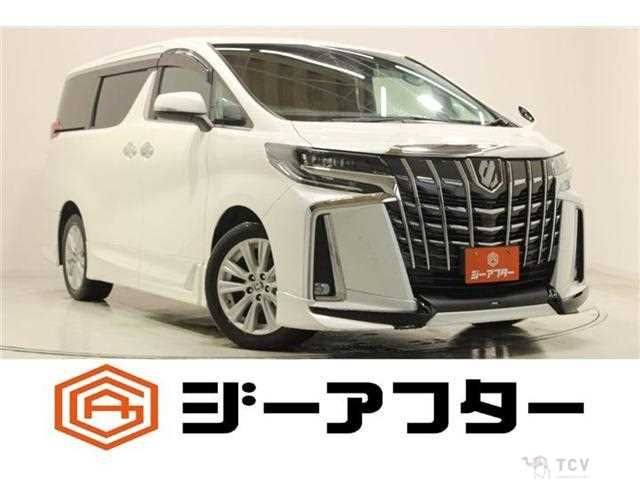 2019 Toyota Alphard G
