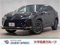 2019 Lexus RX