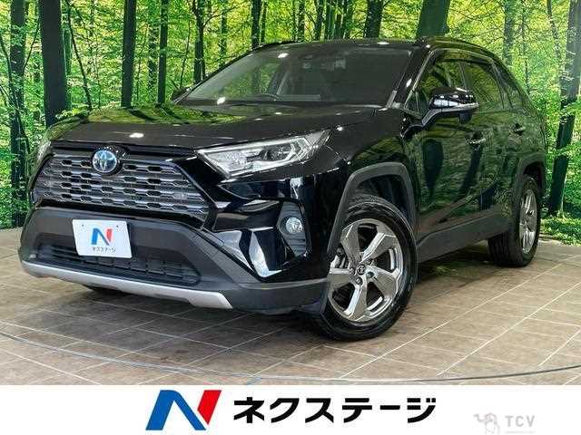 2020 Toyota RAV4