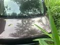 2009 Nissan Cube